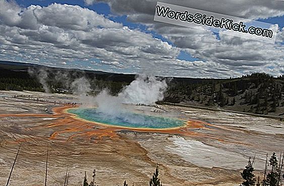 Infographic: The Geology Of Yellowstone