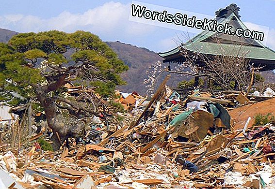 Japan Disaster Spawnt Geigerteller Voor Burgers
