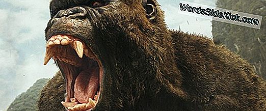 Still King: Why Kong Dwarfs Today'S Beasts