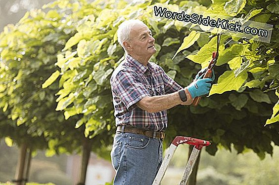 Tips Voor Senioren Om Watervallen Te Voorkomen