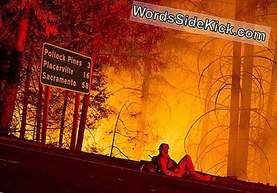 California'S Spreading Wildfires: What Are Katabatic Winds?