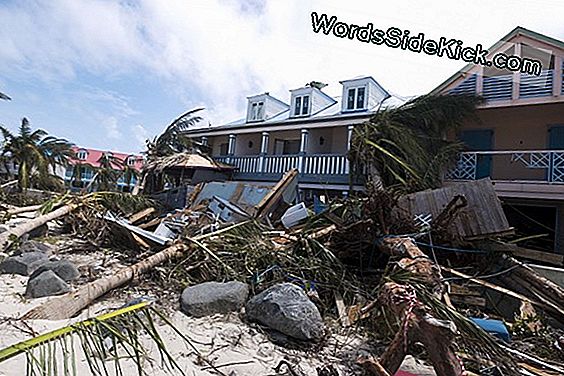 Orkaan Irma: Hoe Goed Waren De Voorspellingen?