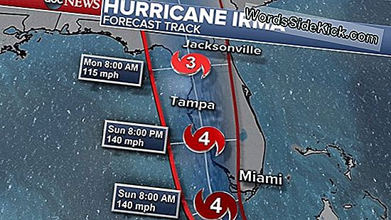 Hurricane Irma: Grootste Stormvloedbedreiging Langs De Zuidwestkust Van Florida