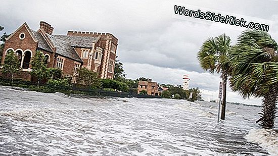Irma Batters, Florida, Kon De Sterkte Van De Orkaan Behouden Tot Maandag