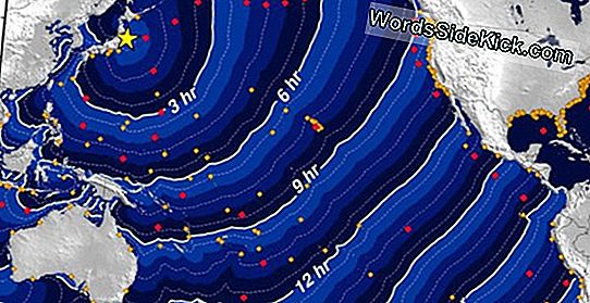 Enorme Japanse Tsunami Met 130 Voet