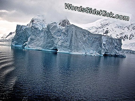 Zie De New Trillion-Ton Antarctic Iceberg In Image From Space