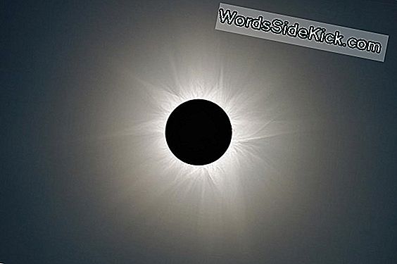 Hier Is Hoe De Great American Solar Eclipse Live Te Bekijken