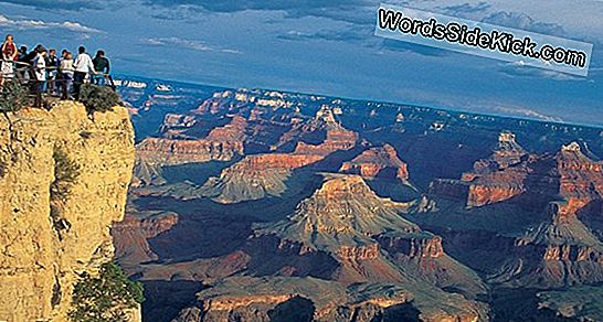 De Oudste Bekende Voetafdrukken In De Grand Canyon Werden Achtergelaten Door Het Mysterieuze Zijdelings Lopende Reptiel