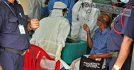 Wat Is Nipah-Virus? Uitbraak In India Doodt Ten Minste 10