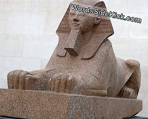 Carving Of Famed Pharaoh Hatshepsut Gevonden In Opslag
