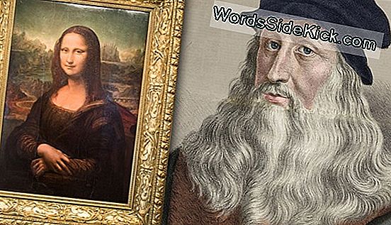 Is Dit Het Oudste Overlevingswerk Van Leonardo Da Vinci? Het Is Twijfelachtig.