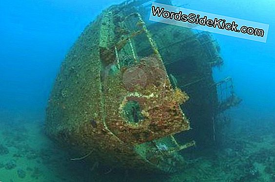 Wwii Shipwreck Waar 5 Broers 76 Jaar Geleden Stierven Eindelijk Gevonden