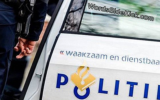 Wonen Criminele Psychopaten De Angst Van Andere Mensen Of Merken Ze Het Gewoon Niet Op?