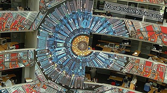 5 Ontdekkingen Gemaakt Door De Large Hadron Collider (So Far)