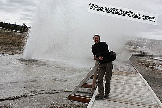 Een Geiser Die Is Losgebarsten In Yellowstone En 80 Jaar Humane Prullenbak Is Uitgegoten