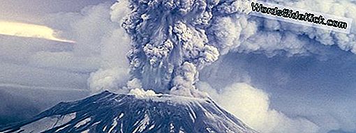 Mount St. Helens Eruption: Feiten En Informatie