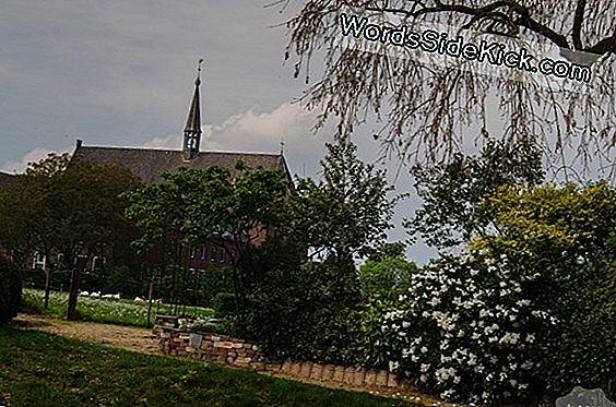 Oudste Bewijs Voor Het Leven Op Het Land Opgegraven In Zuid-Afrika