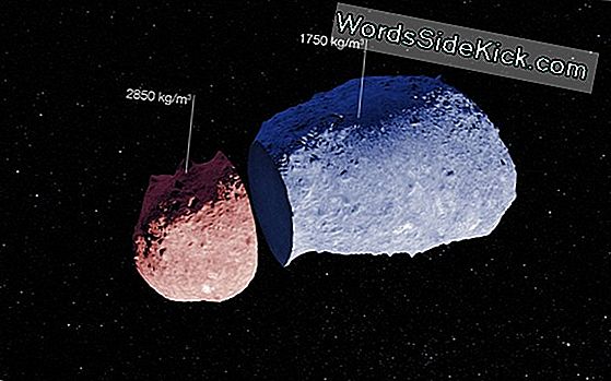 Hoe Asteroïde Gordels Werken