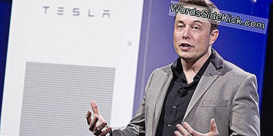 Hoe Elon Musk Werkt