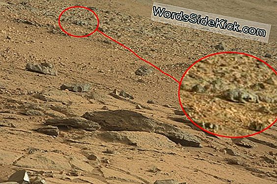 Wat Is Belangrijker, Water Op De Maan Of Op Mars?