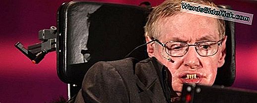 Stephen Hawking'S Proefschrift, Rolstoel Te Koop In Veiling Van Meerdere Miljoenen Dollars