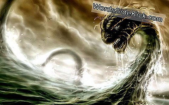 Loch Ness Nu Conține Adn-Ul „Monstru”, Spun Oamenii De Știință