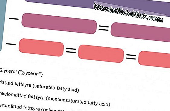 vad är triglycerider