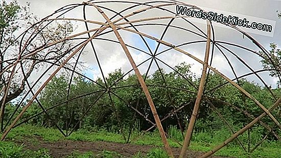 How Geodesic Domes Work