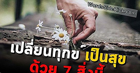 7 สิ่งที่จะทำให้คุณมีความสุข