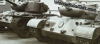 M 26一般的なパーシング重戦車 動物