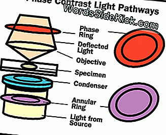 Lichtpad van een fasecontrastmicroscoop