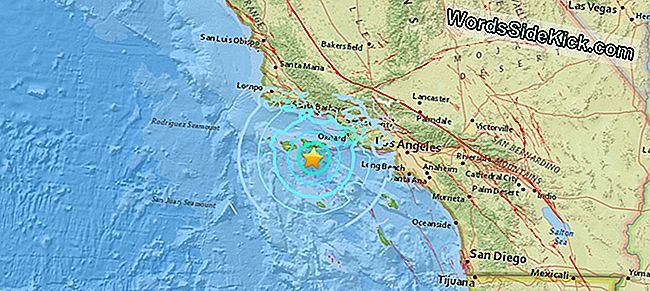 Een Aardbeving Met Een Sterkte Van 5,3 Heeft Net Zuid-Californië Getroffen