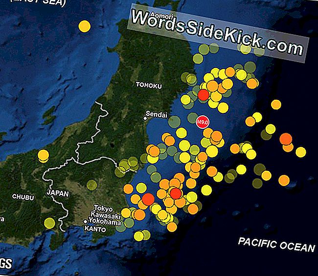 7 Vreemde Manieren Waarop De Japanse Aardbeving De Wereld Deed Schudden