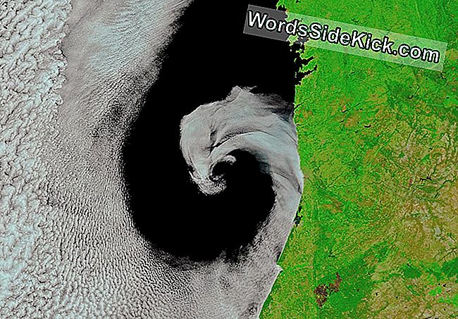 Cyclone 'Likt' Portugal Kust In Prachtig Ruimtelijk Beeld
