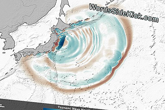 Deep Ocean Floor Kann Tsunami Wellen Fokussieren 2020