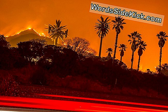 Hier Is Waarom De Ventura Wildfire Zo Explosief Is