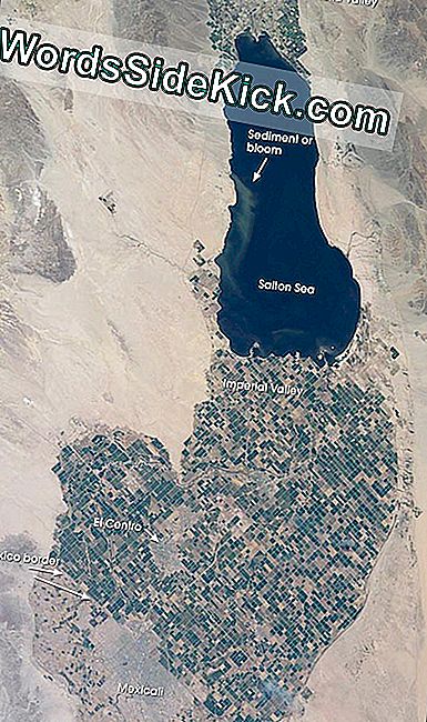 Saltonské moře při západu slunce. Saltonské moře je dobře viditelné pro astronauty, a tady je obrázek, který pořídili, aby to dokázali.