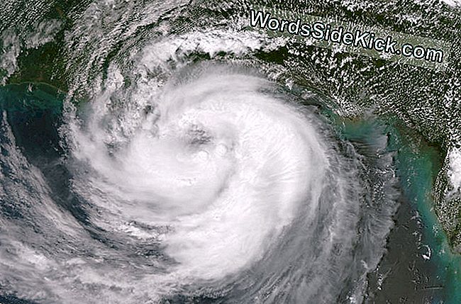 Isaac'S Impacts: Destruction From 'Just A Cat 1' Storm