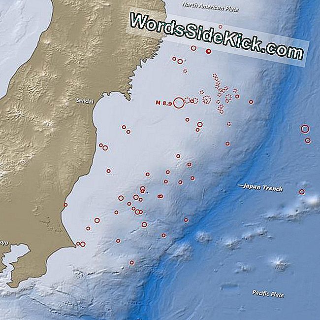 Japan Earthquake Unleashed Surprising Torrent Of Energy