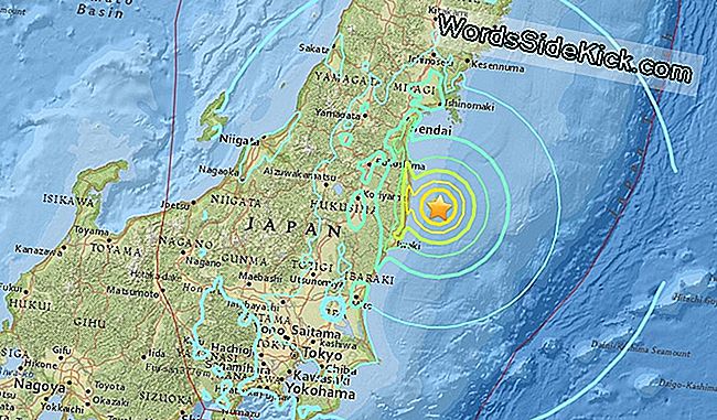 Grote Aardbeving Komt Uit Fukushima