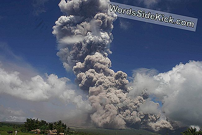 Een gigantische paddestoelvormige wolk rijst op vanuit de Mayon-vulkaan, gezien vanaf de snelweg in de stad Camalig, vlakbij de stad Legazpi in de provincie Albay, ten zuiden van Manilla op 22 januari 2018.