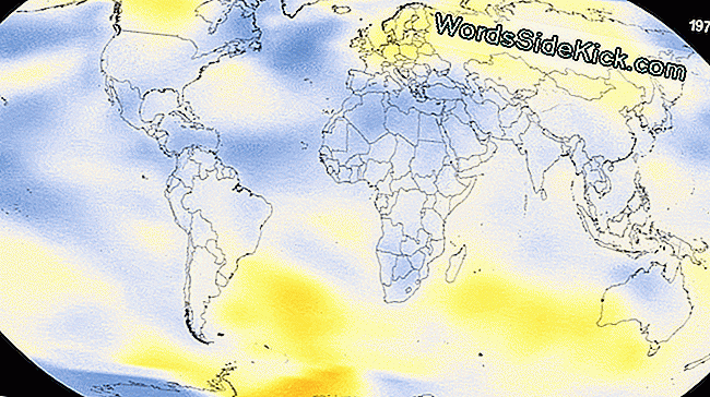 Deze kleurgecodeerde kaart geeft een evolutie weer van veranderende afwijkingen in de mondiale oppervlaktetemperatuur tot 2017.