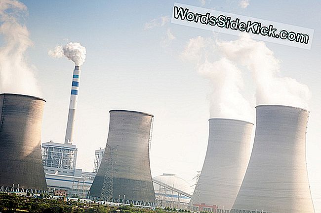 Zwitserse Kiezers Ondersteunen Hernieuwbare Energie En Verbod Op Nucleaire Wapens