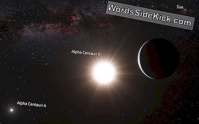 Koncept tohoto umělce ukazuje nově objevenou mimozemskou planetu Alpha Centauri Bb, která se nachází ve tříhvězdičkovém systému vzdáleném pouhých 4,3 světelných let od Země.
