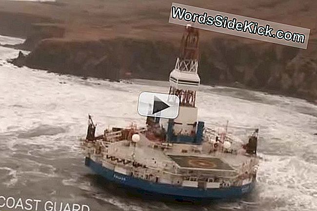 Waarom Zou Royal Dutch Shell Het Noordpoolgebied Verlaten? (Video)