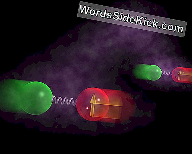 Loophole In Spooky Quantum Entanglement Theory Gesloten