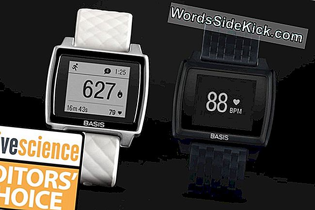 Basispiek: Overzicht Fitness Tracker