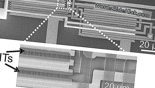 Elektronu mikroskopa attēls, kurā redzami oglekļa nanocauruļu tranzistori (oglekļa nanocaurules), kas sakārtoti integrētā loģiskā shēmā.