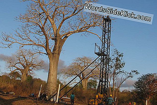 Een typische boorsite. Het tuig staat naast een baobab-boom opgesteld. Het was het droge seizoen, dus de boom had geen bladeren. Regen en kernsnijden mengen niet.