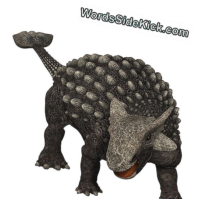 Ankülosaurus: Faktid Soolatud Sisalikust